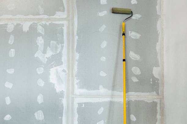 Trusted Ridgway, CO Mold Removal Experts