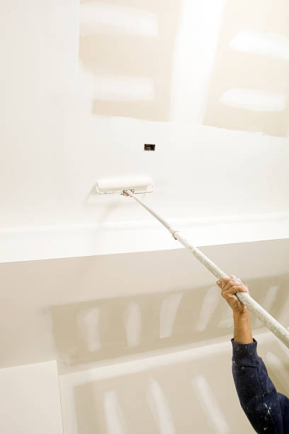 Mold Odor Removal Services in Ridgway, CO