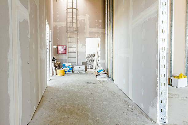 Best Commercial Mold Inspection  in Ridgway, CO
