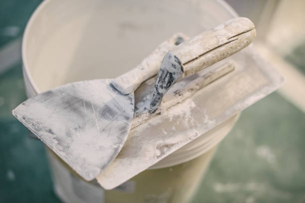 Best Industrial Mold Remediation  in Ridgway, CO